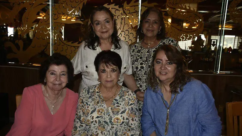 voluntarias3